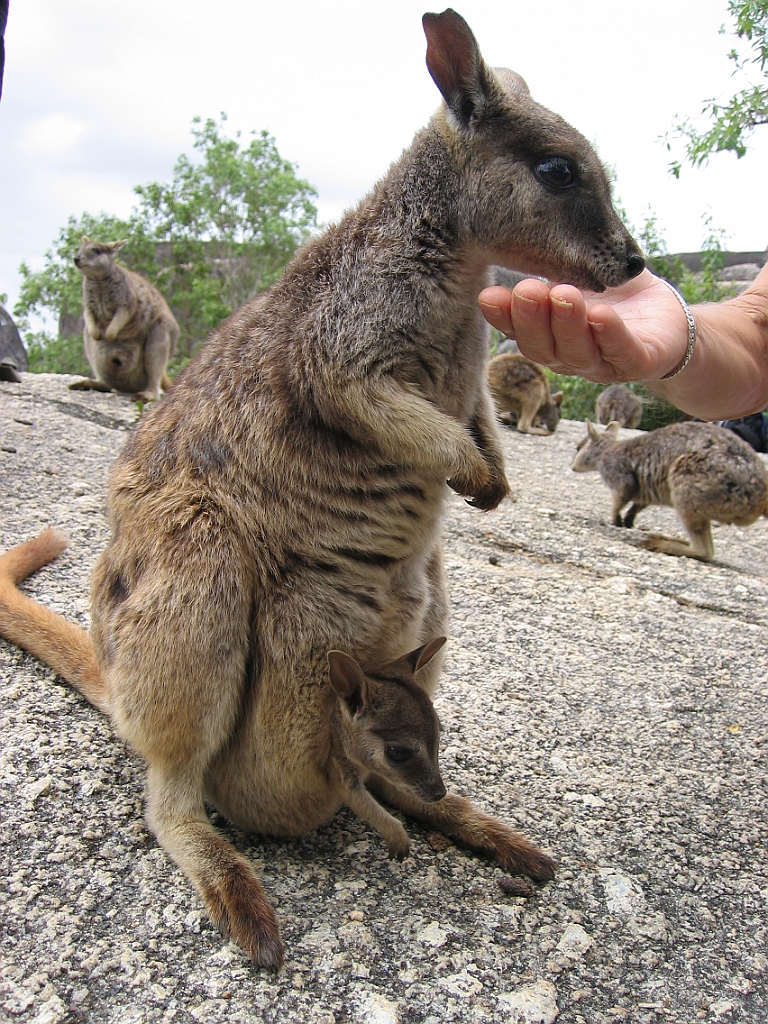 119 Granite Gorge.jpg